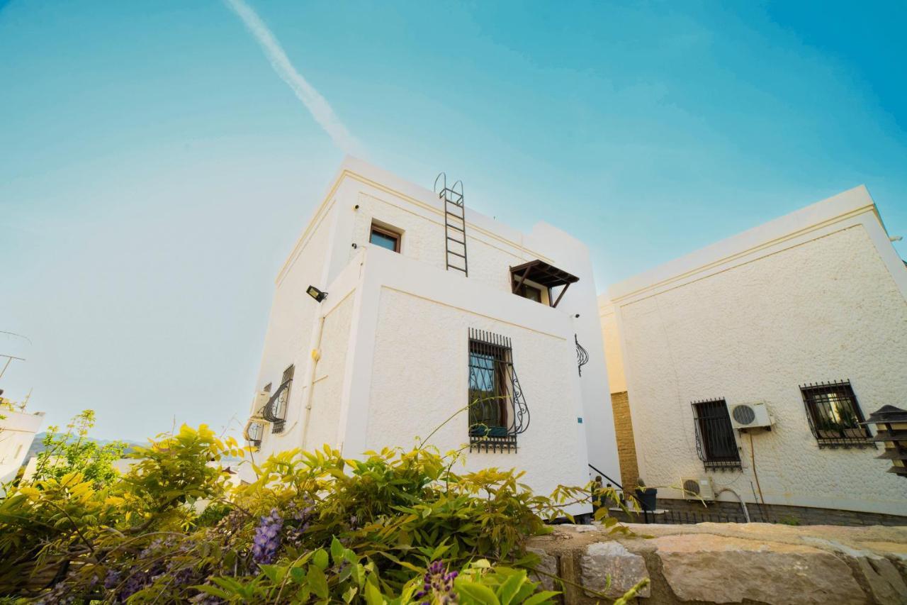 Dolphin Villa Αλικαρνασσός Εξωτερικό φωτογραφία