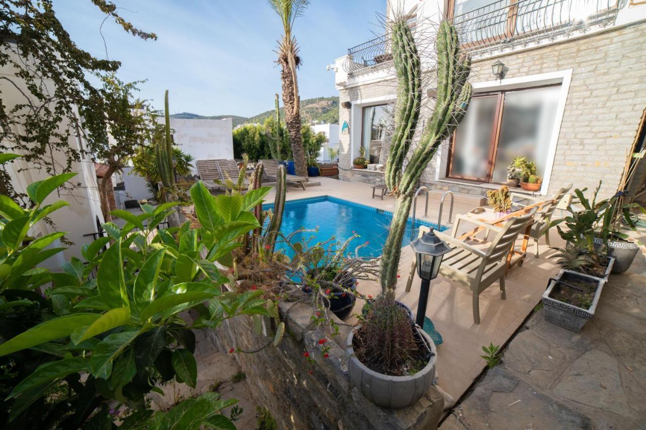 Dolphin Villa Αλικαρνασσός Εξωτερικό φωτογραφία
