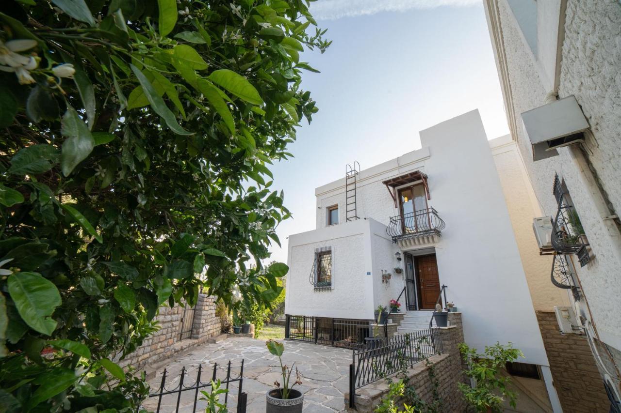 Dolphin Villa Αλικαρνασσός Εξωτερικό φωτογραφία