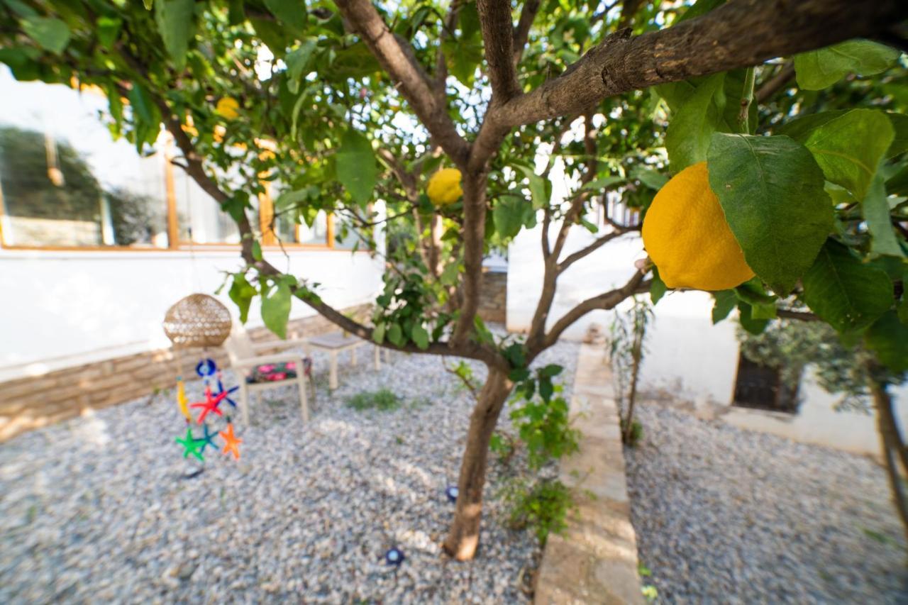 Dolphin Villa Αλικαρνασσός Εξωτερικό φωτογραφία